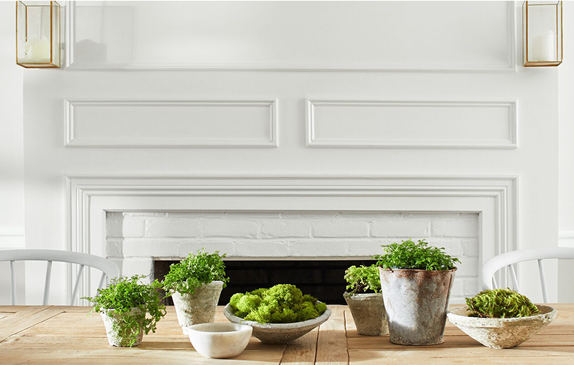 Dining room with white-painted walls featuring a large wooden table with potted plants and chairs.